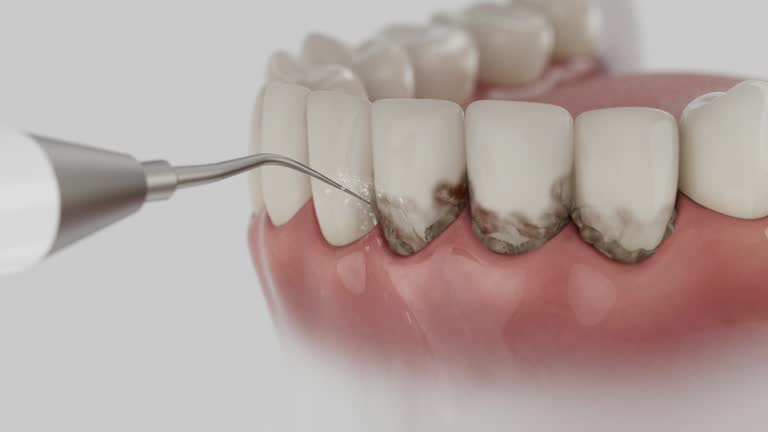 Reliable Dental contractor in Pike County County, IL by Dentist Open Now